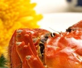 大闸蟹的功效与作用（大闸蟹的功效与作用）