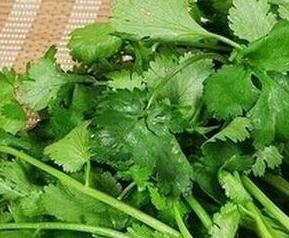 吃香菜的副作用(吃香菜的副作用和禁忌)