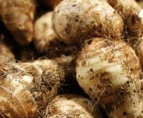 芋子皮的作用与功效及药用功效 芋子皮的作用与功效及药用功效图片