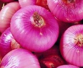 园葱的药用功效与作用 园葱的药用功效与作用图片