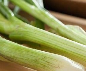 葱和蒜的区别 葱和蒜的区别写一段话