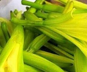 黄花菜有毒吗（隔夜黄花菜有毒吗）