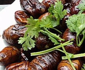 蚕蛹怎么做好吃 东北大蚕蛹怎么做好吃