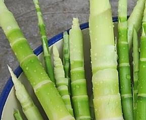 竹笋的营养价值与功效 竹笋的营养价值与功效作用