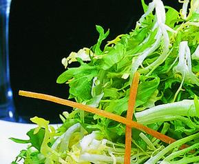 苦菊的功效与作用 新鲜苦菊的功效与作用