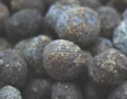 夜明砂的功效与作用 夜明砂的功效与作用用量