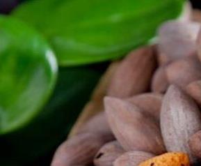 香榧的营养价值及食用方法介绍 香榧的营养价值及食用方法介绍