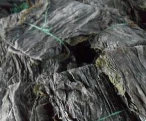 干海带的功效与作用（干海带的功效与作用及营养）