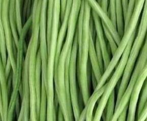 长豇豆的功效与作用 豇豆的功效与作用及营养价值