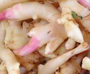 紫姜有何作用 紫姜有何作用与禁忌