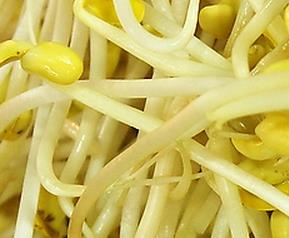 吃黄豆芽的好处有哪些（吃黄豆芽的好处有哪些功效）