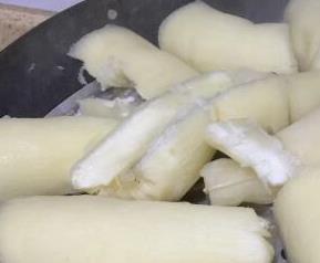 木薯是什么（木薯是什么样子图片）