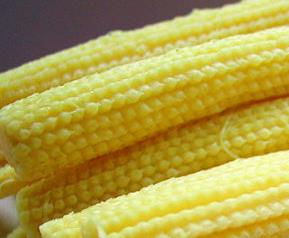 玉米笋是什么 玉米笋是什么季节的