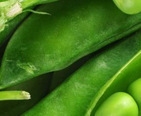 荷兰豆的营养价值与功效（荷兰豆的营养及功效）