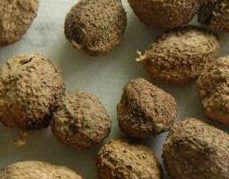 砂仁的功效与作用（砂仁的功效与作用的功能与主治）