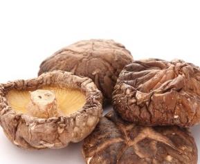 珍珠菇的做法 珍珠菇的做法茶树菇不焯水有毒吗