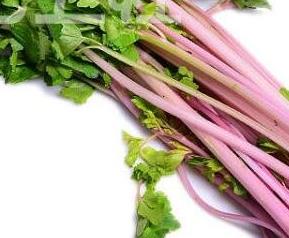 紫色芹菜叫什么芹 紫芹菜图片