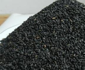 黑芝麻怎么吃补肾效果好（黑芝麻怎么吃补肾效果最好）