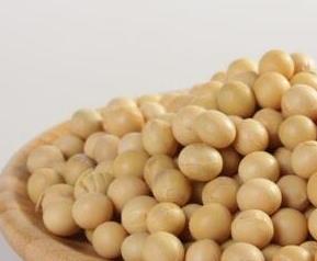 圆黄豆和扁黄豆的区别 圆黄豆与扁黄豆区别