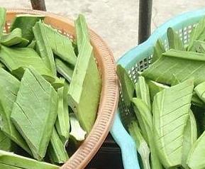 刀豆图片 什么叫刀豆,刀豆图片