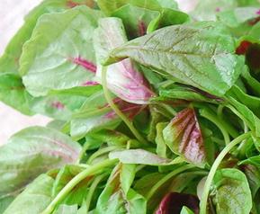 苋菜的功效与作用 刺苋菜的功效与作用