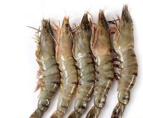 冰冻黑虎虾营养价值 冰冻黑虎虾营养价值及功效