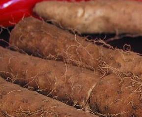 山药过敏时怎样才能止痒（山药过敏时怎样才能止痒呢）