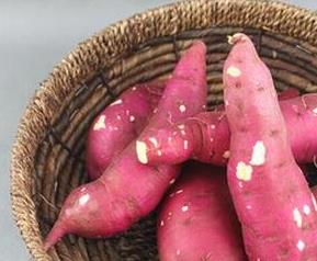 板栗红薯的食用方法和功效（板栗红薯的吃法）