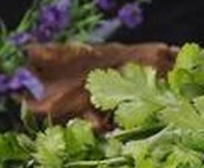 香菜怎么做好吃（新鲜香菜怎么做好吃）