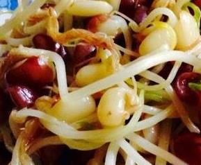 红豆芽的营养价值（红豆芽营养价值及功效）