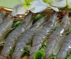 大虾和什么食物相克 大虾和什么同吃