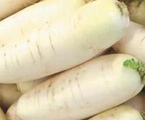 萝卜能治什么病 萝卜能治什么病啊白萝卜能治什么病