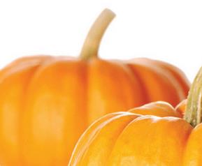 秋天吃南瓜的好处有哪些（秋冬季节吃南瓜的好处）