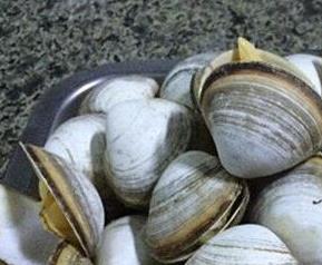 蚶子的功效与作用（蚶子的功效与作用是什么）