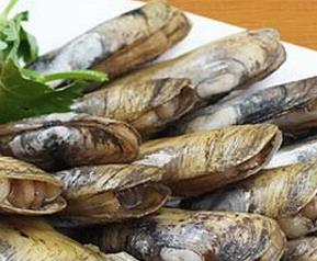 蛏子的做法大全 蛏子怎么做好吃