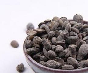 淡豆豉的功效与作用与食用方法 淡豆豉的功效与作用与食用方法禁忌