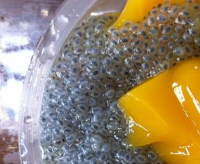 罗勒籽的功效与作用(罗勒籽的功效和副作用)