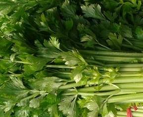 孕妇能吃芹菜吗 孕妇能吃芹菜吗 初期