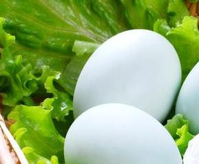 鸭蛋的营养价值有哪些 鸭蛋的营养价值什么