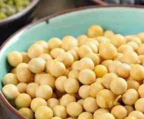 黄豆的功效与作用 黄豆的功效与作用与主治