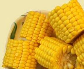 鲜玉米的营养价值与功效 鲜玉米的营养价值与功效,戒酒失眠