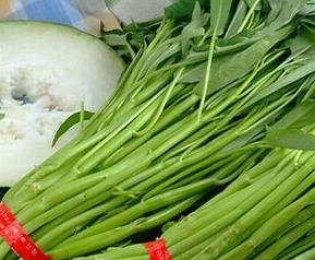 吃空心菜的好处 吃空心菜的好处和功效