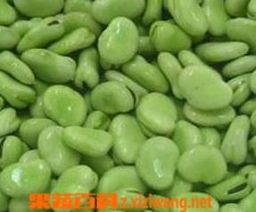 蚕豆食谱 蚕豆食谱做法大全
