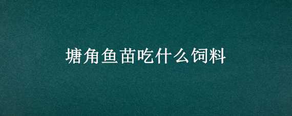 塘角鱼苗吃什么饲料（塘角鱼苗吃什么饲料最好）