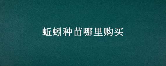 蚯蚓种苗哪里购买（蚯蚓种苗哪里购买的）