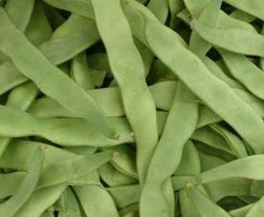 芸豆怎么做最好吃(芸豆怎么做最好吃窍门)