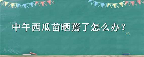 中午西瓜苗晒蔫了怎么办（西瓜苗蔫了如何恢复）