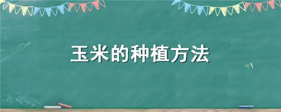 玉米的种植方法 玉米的种植方法步骤