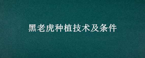 黑老虎种植技术及条件 黑老虎的种植技术及培植