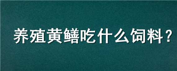 养殖黄鳝吃什么饲料（养殖黄鳝吃什么饲料开口好）